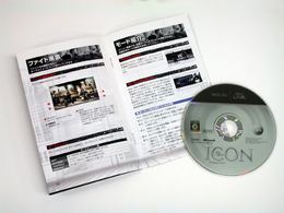 「デフジャム・アイコン」書影