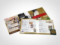「江戸文化歴史検定DS」書影