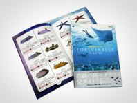 「任天堂公式ガイドブック」書影