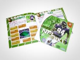 「NFL2K1」書影