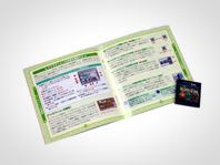「テーマパークDS」書影